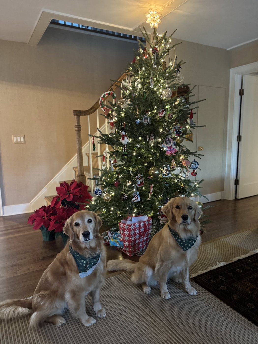The finished tree